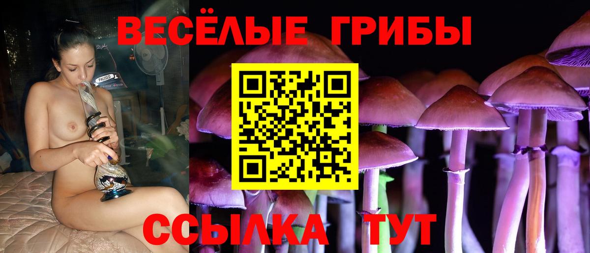 Псилоцибиновые грибы мицелий  Вход с VPN  Дмитров 