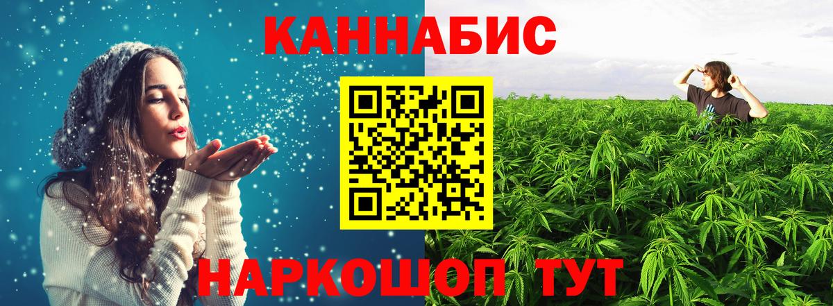 Конопля марихуана Дмитров